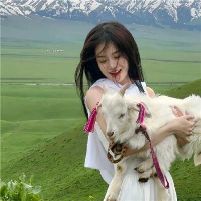 来去美国2